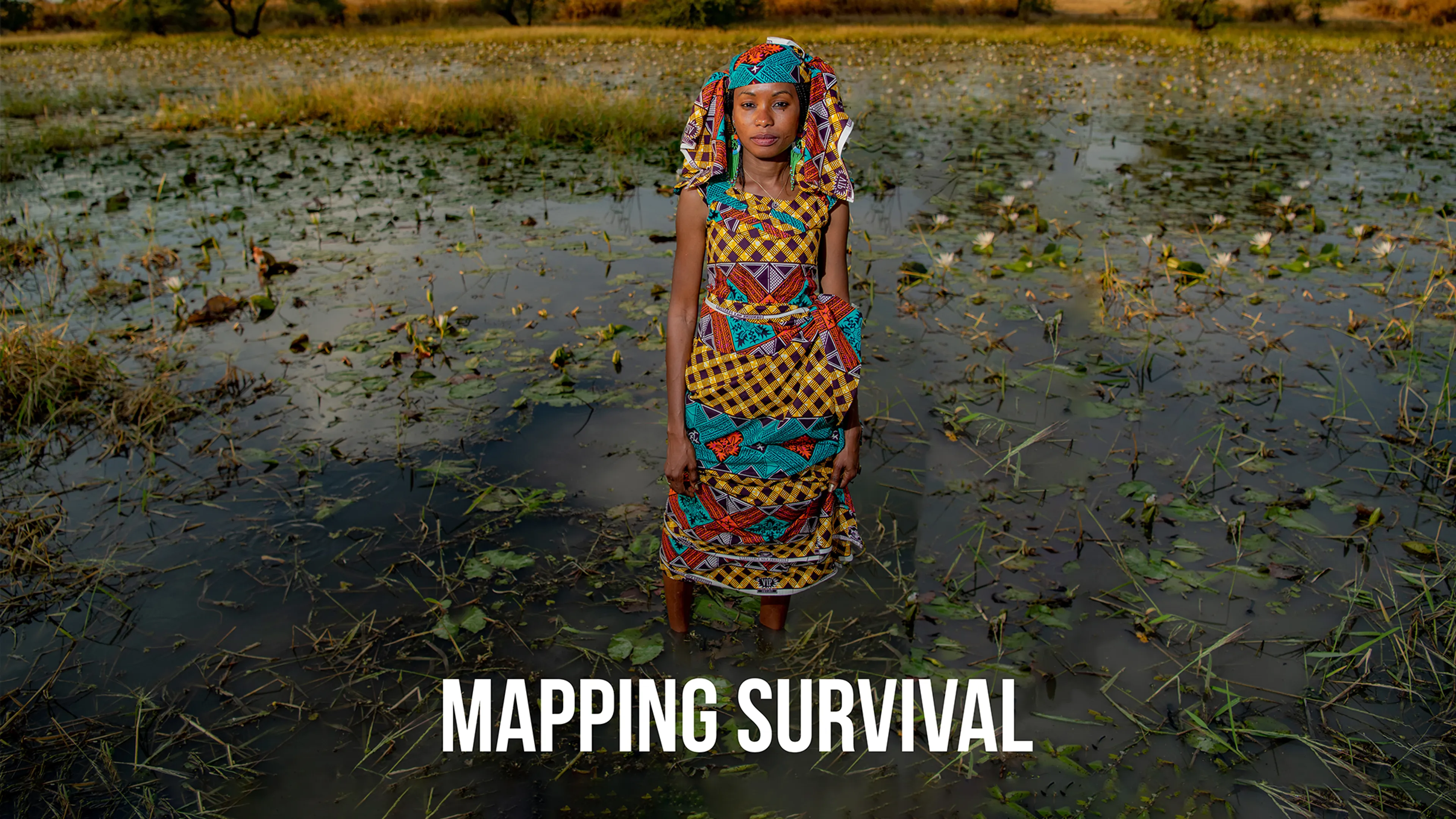 Mapping Survival poster